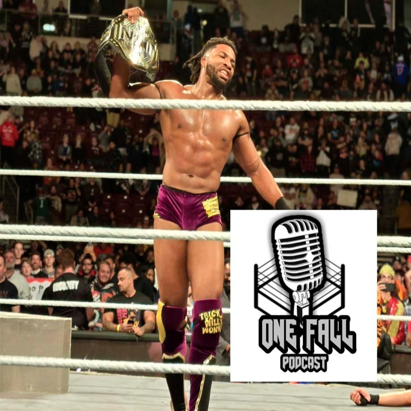One Fall Podcast # 196 - TNA y NXT dando sustos episode artwork