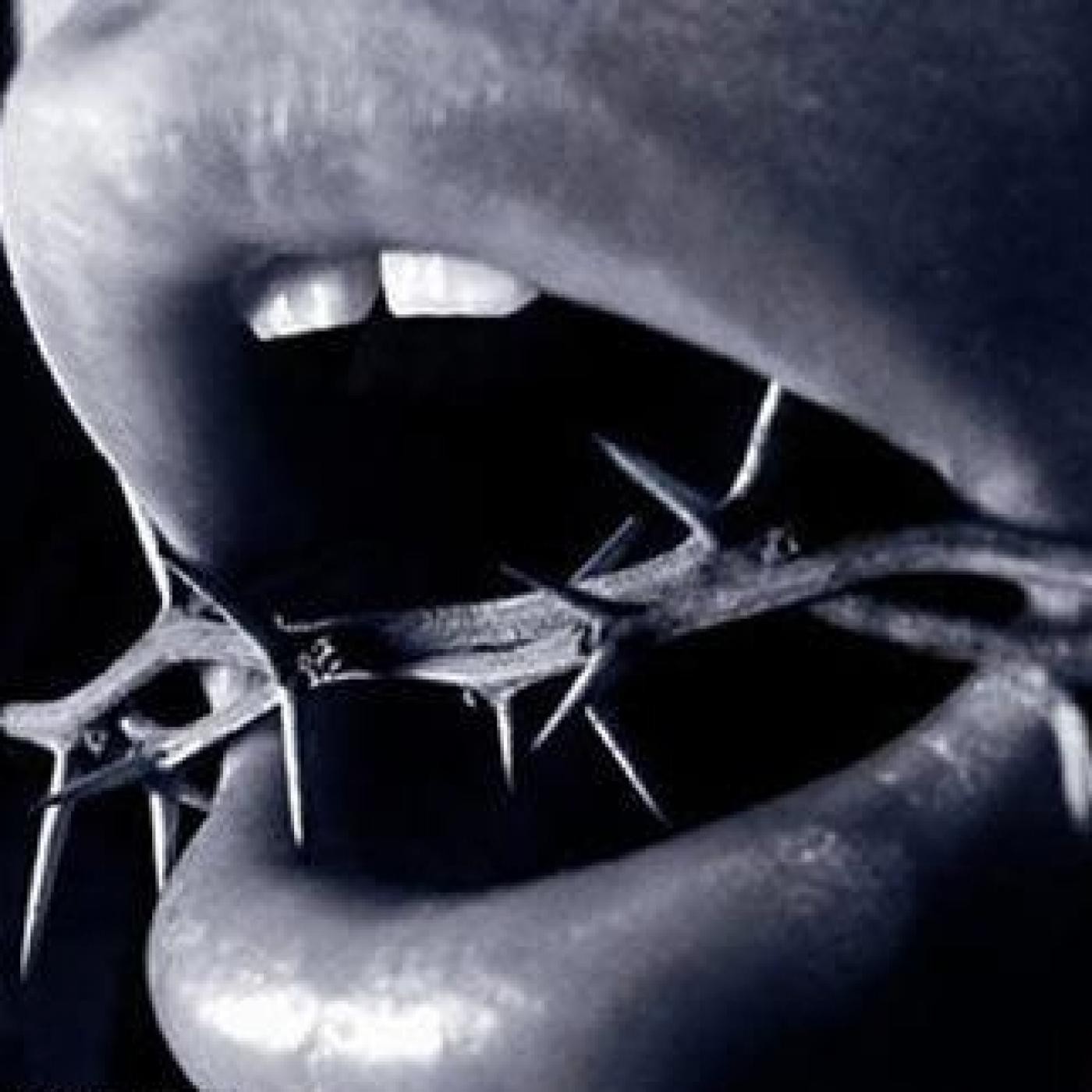 Mi Poesía en mi voz