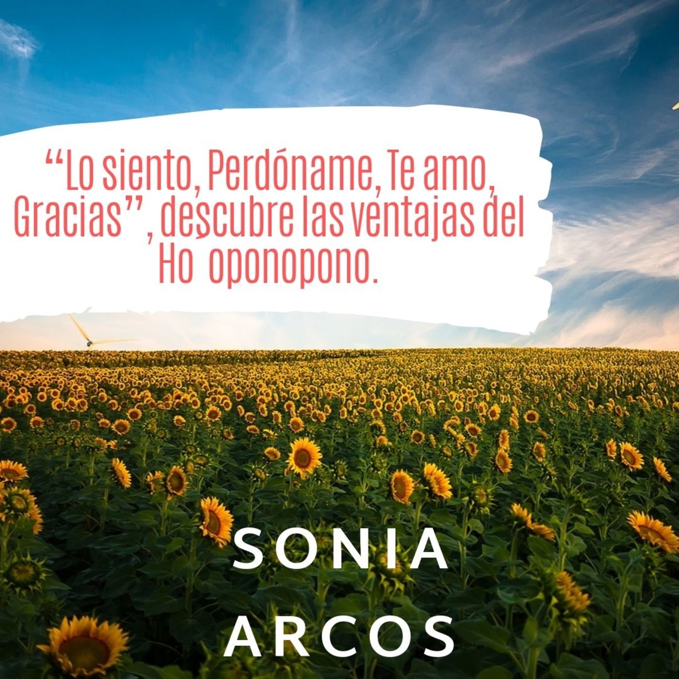 Sergio Amado