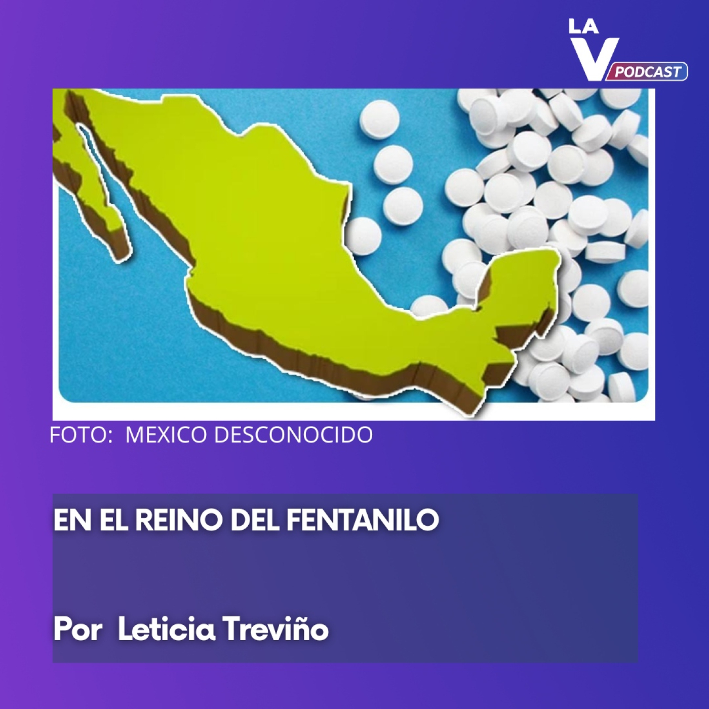 Nuestros temas por Leticia Treviño