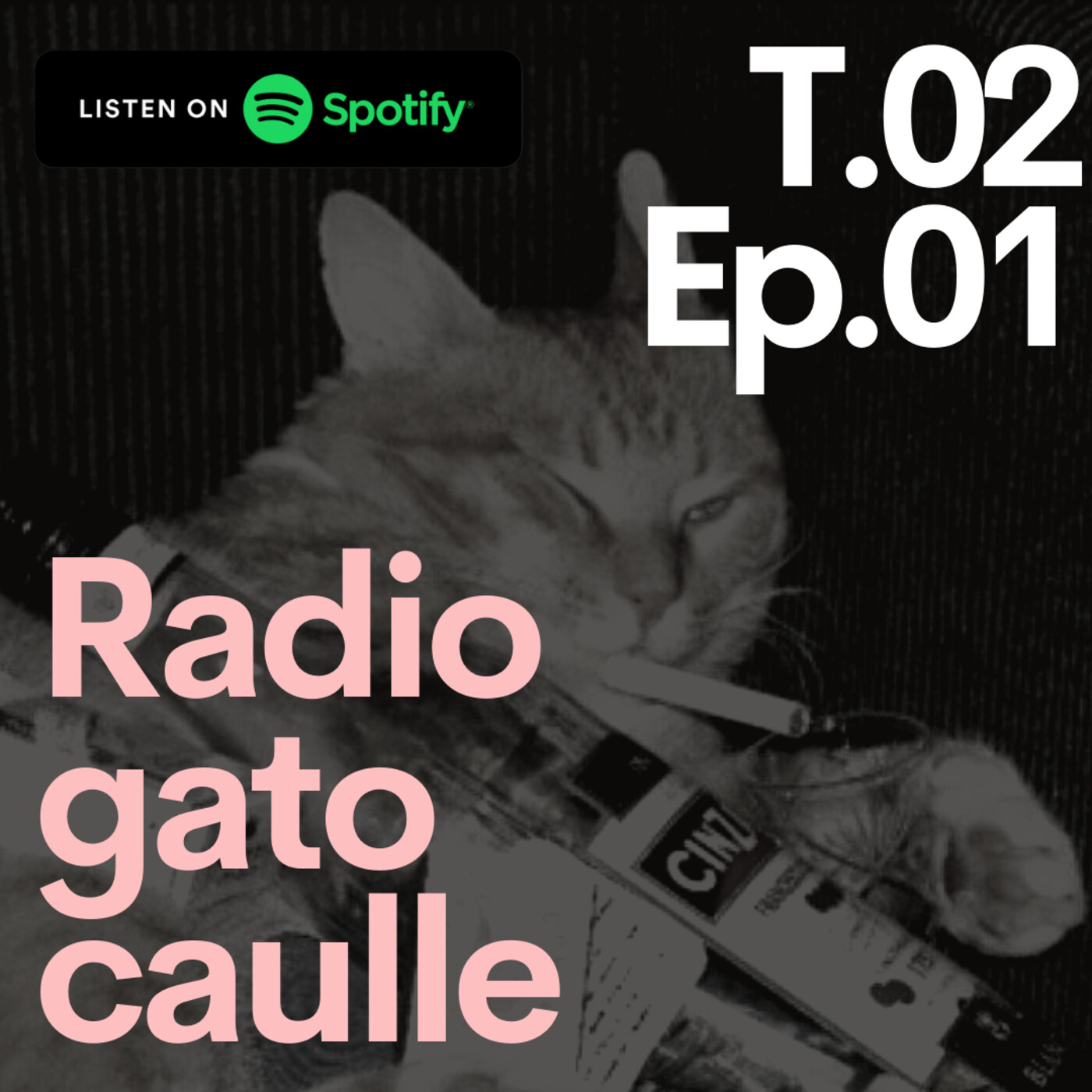 Radio gato Caulle