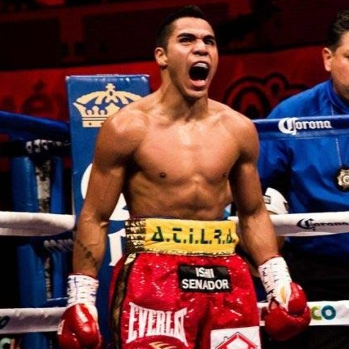 Ring Side en el aire
