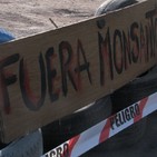 7 años del Bloqueo a Monsanto: Sofia Gatica