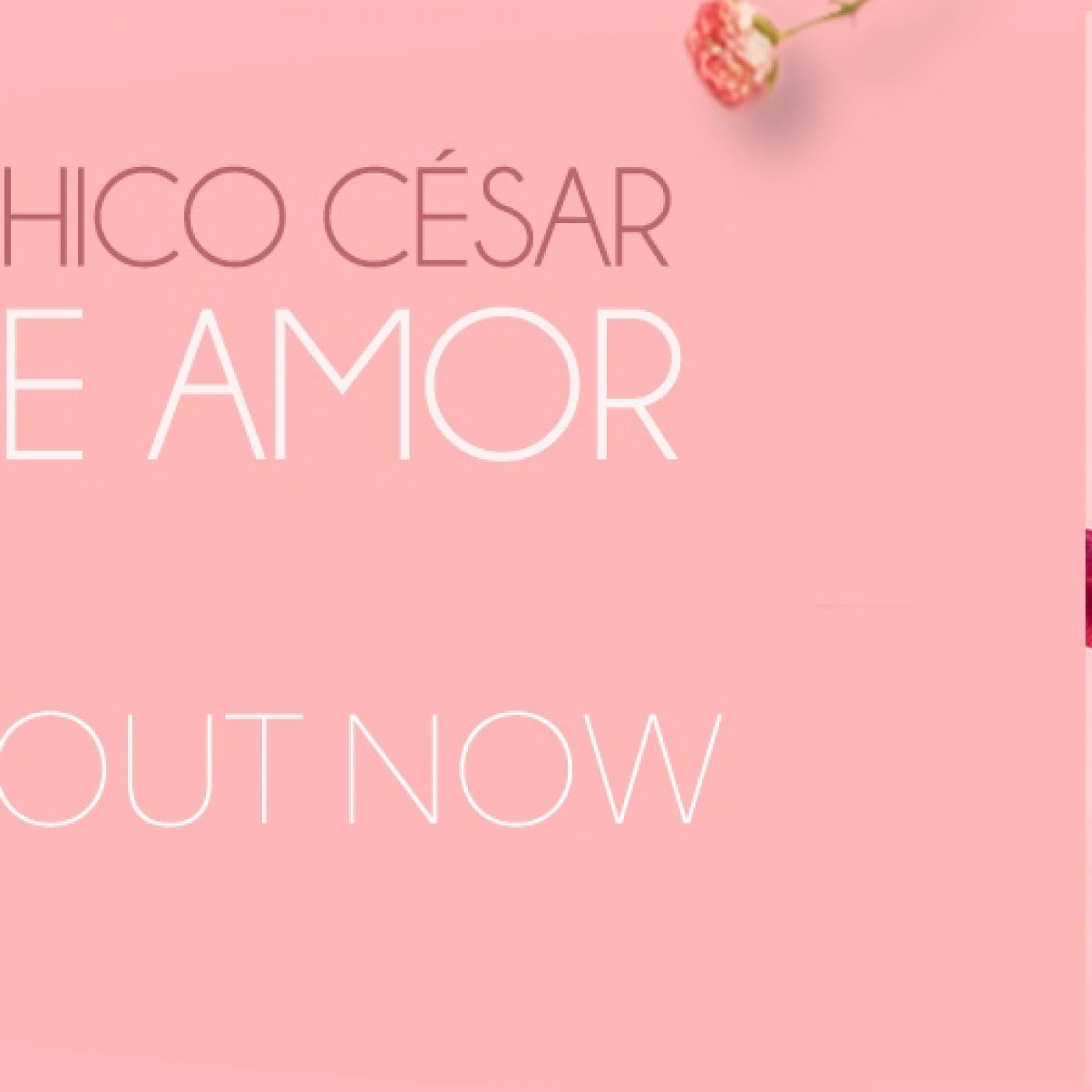 Sons de Nós 13 de decembro de 2022