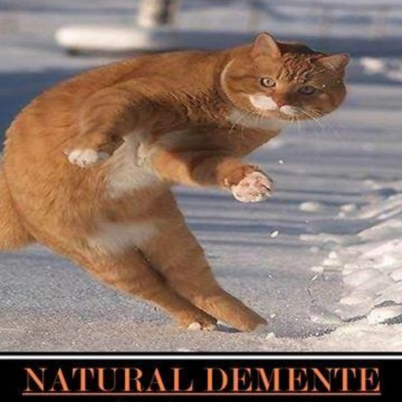 NATURAL DEMENTE