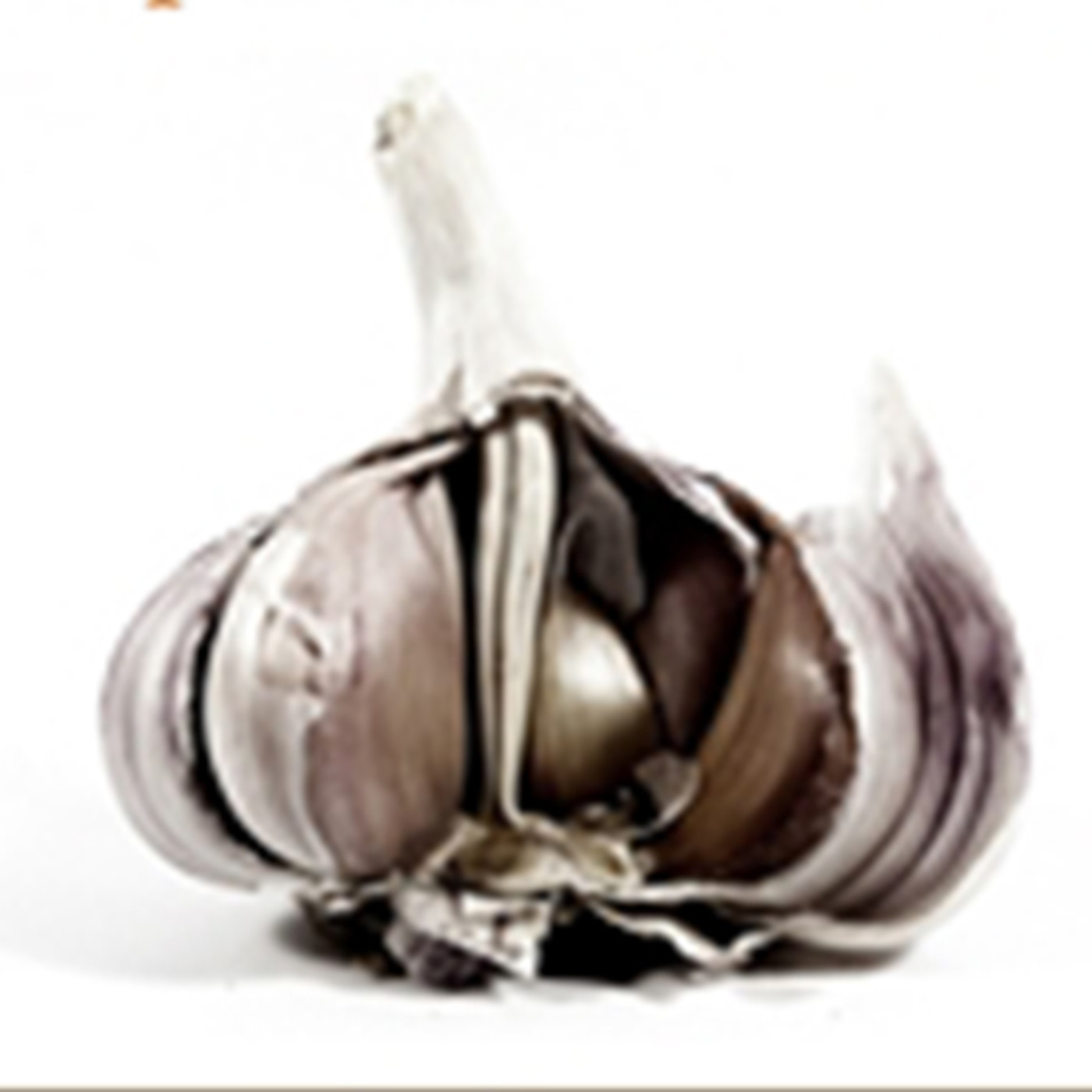 ANSÓNMIÙSIK, El Último Loco