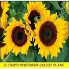 Un regalo para Ti- Vivi Cervera-