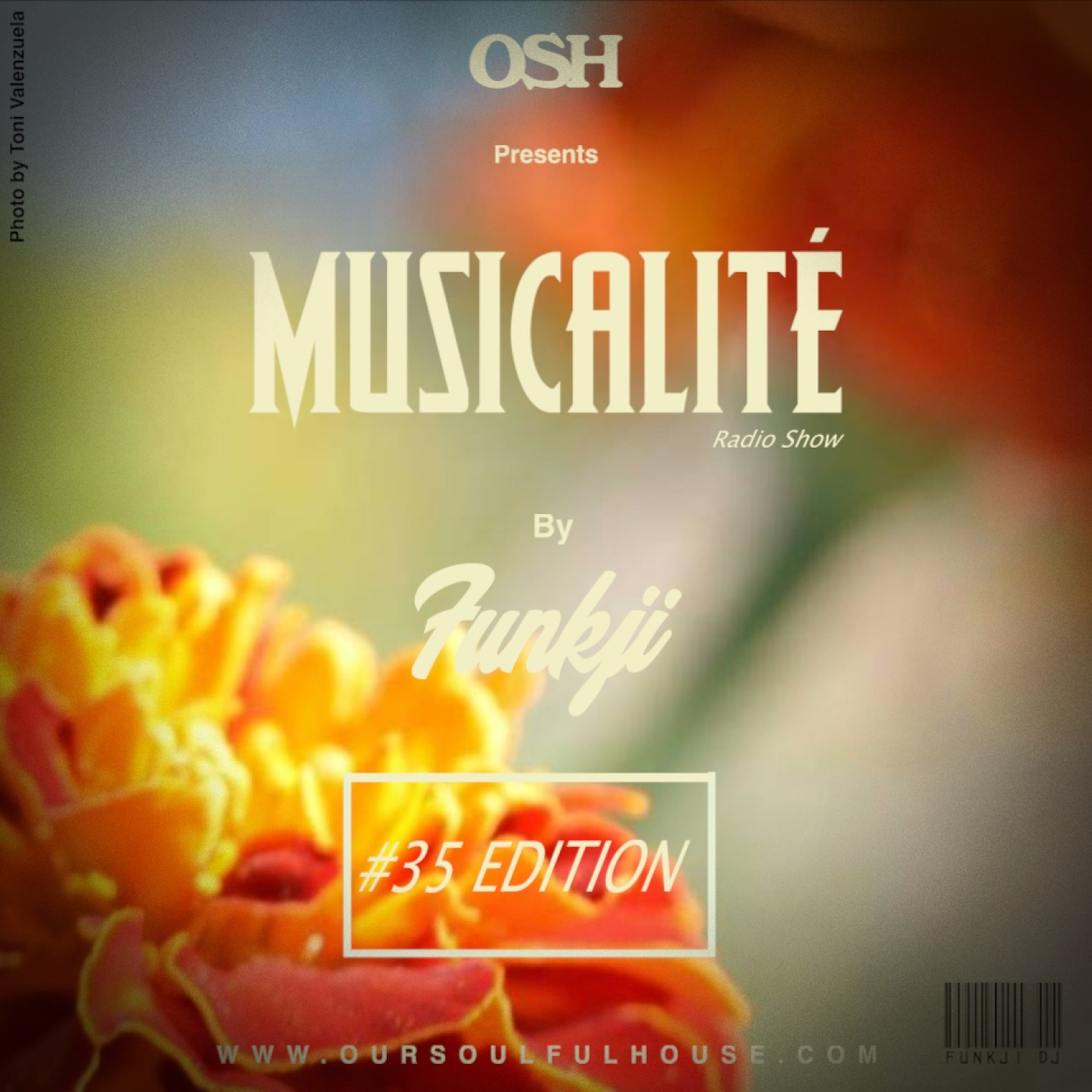MUSICALITÉ sessions - OSH