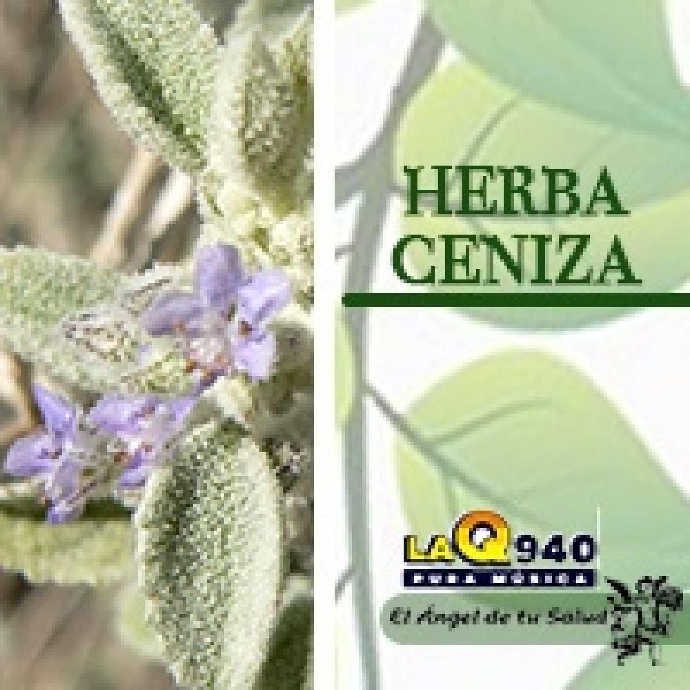 El Ángel de tu Salud -Herba Ceniza episode artwork