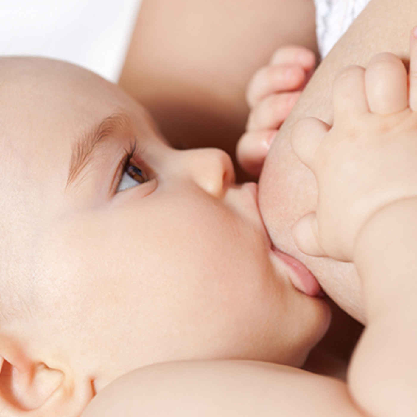 002 El mormonismo y la lactancia materna 002 El mormonismo y la lactancia materna