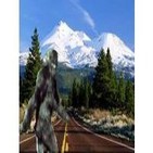 089 - Misterios de California