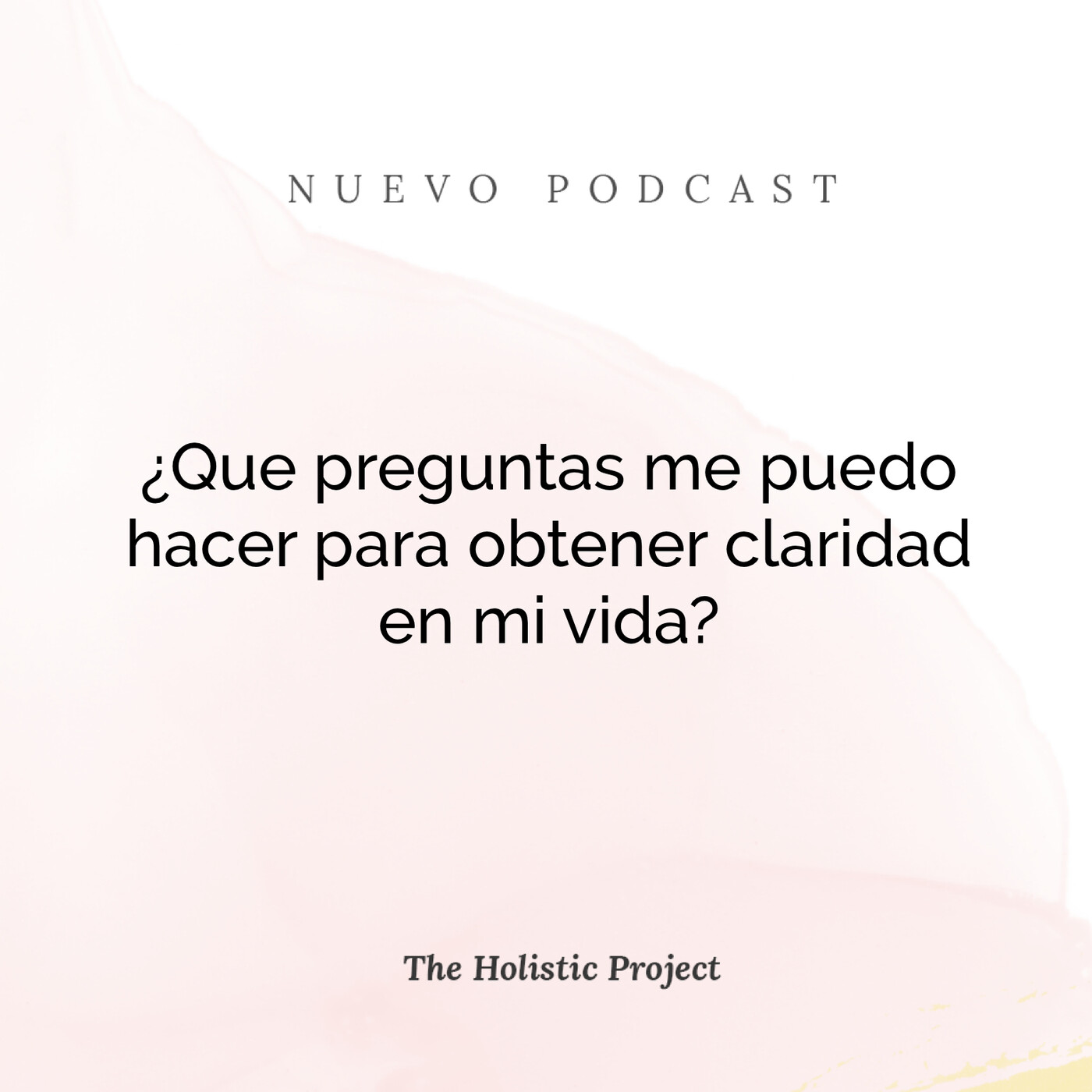 The Holistic Project