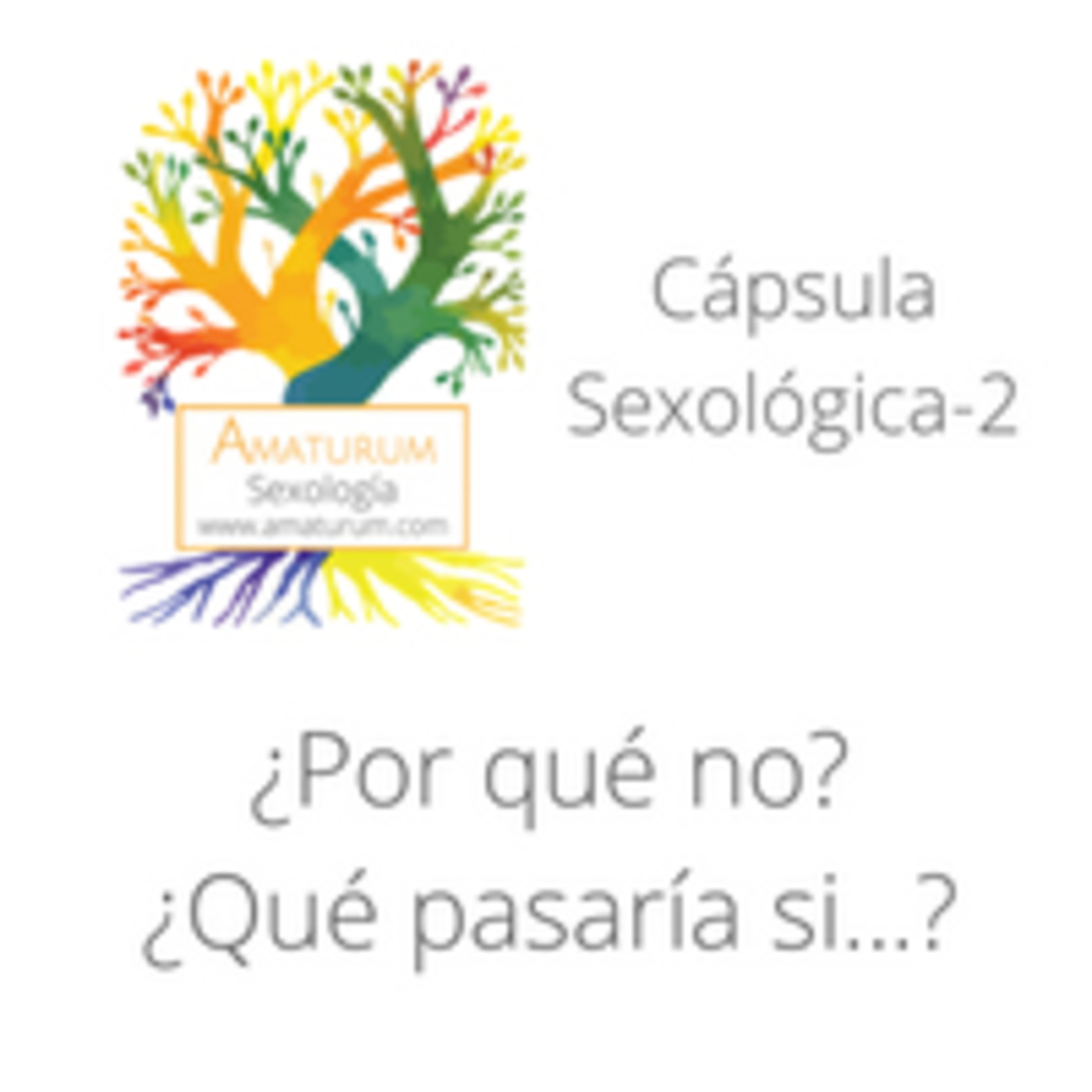 ¿Por qué no? episode artwork