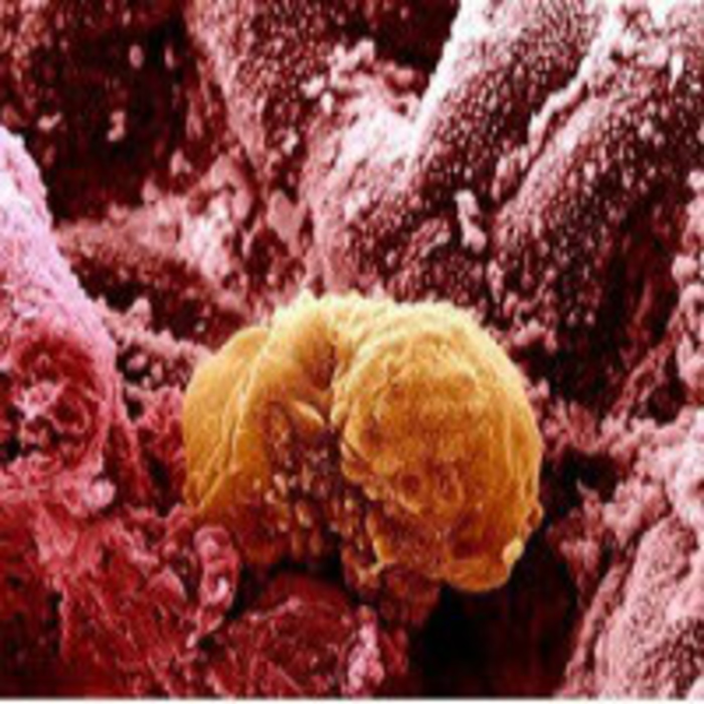 Podcast MISTERIOS DE HIRAM