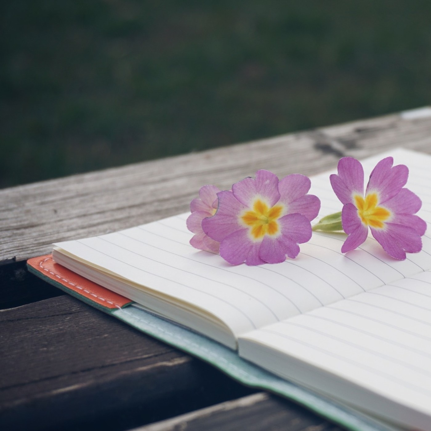 Cuentos infantiles: 1.DIFERENCIAS