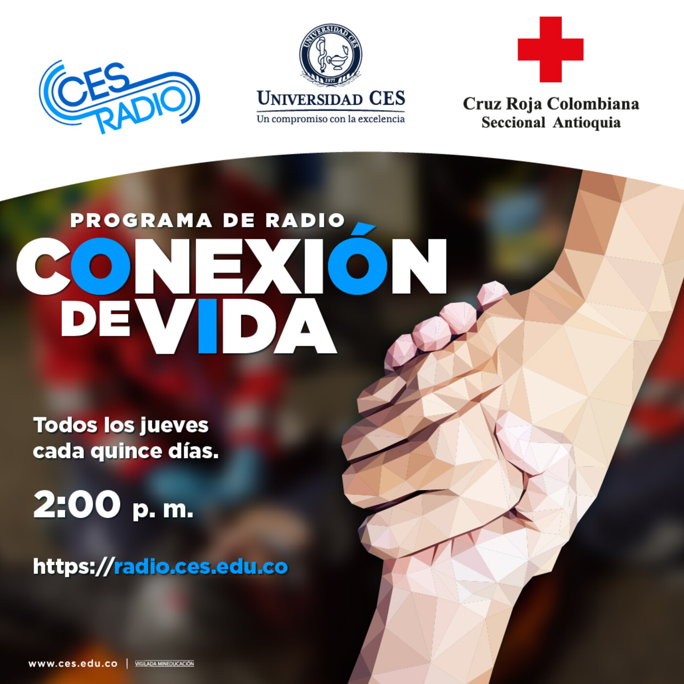 Conexión de vida