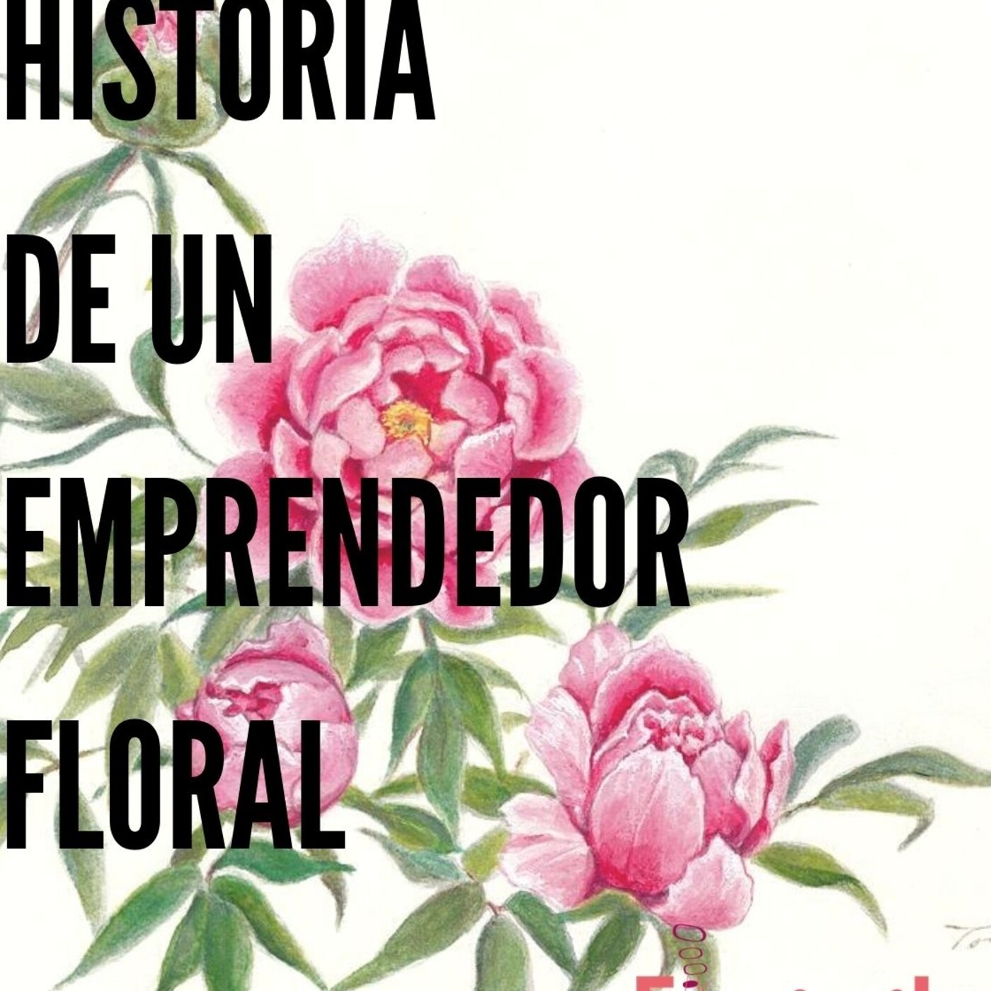 Historia de un emprendedor flo