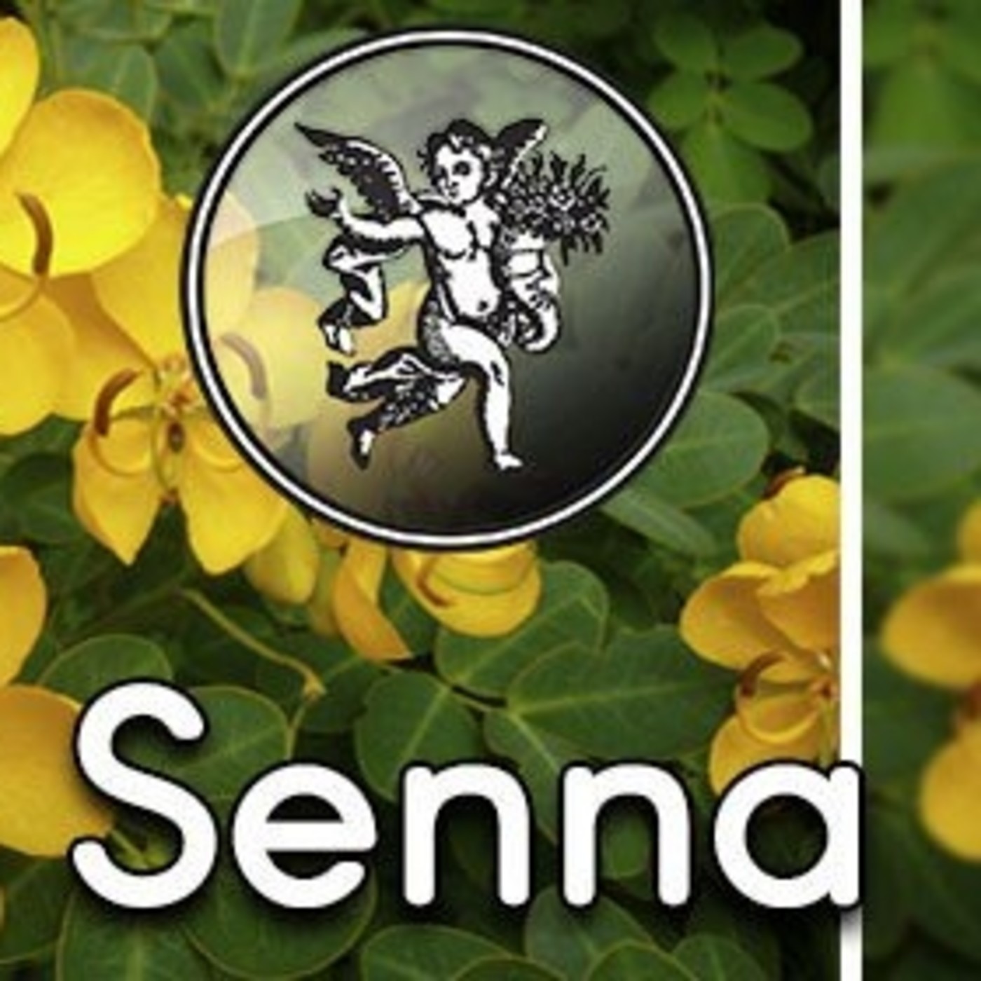 El Ángel de tu salud- SENNA