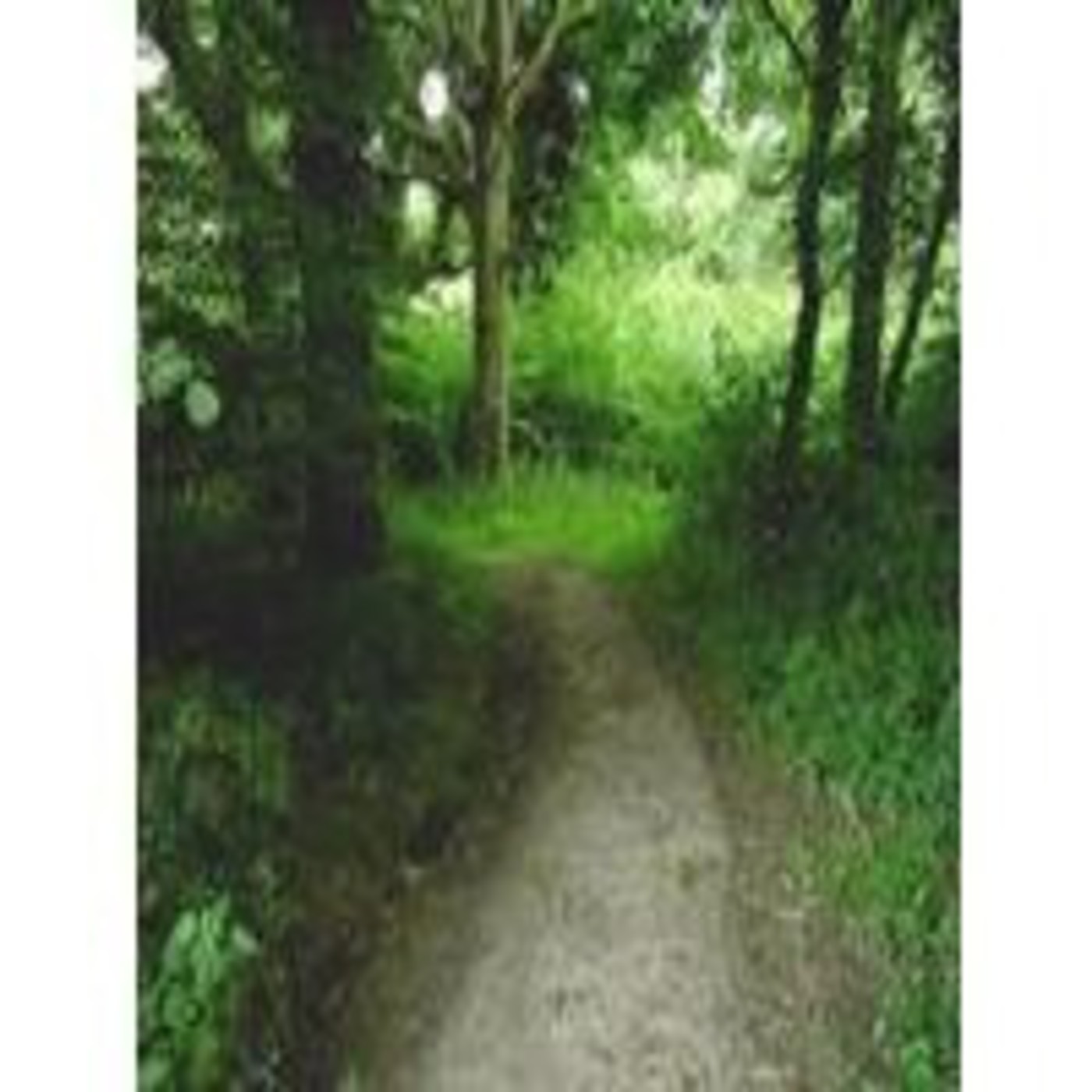 156 - ¿Qué ocurre en el bosque de Clapham? Vol.1