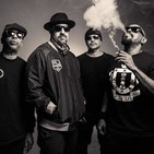 Globo FM - Cypress Hill, elefantes de tripi