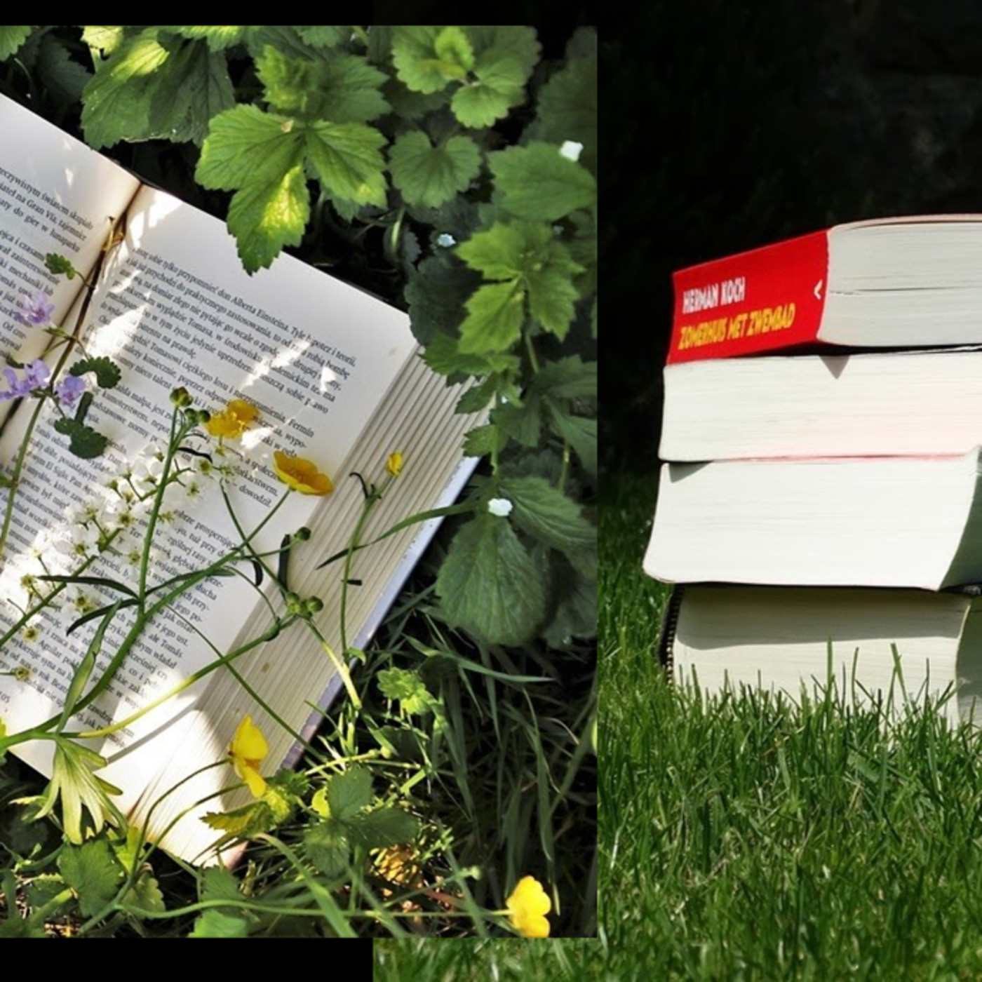 Palabras Cruzadas: el bibliopodcast