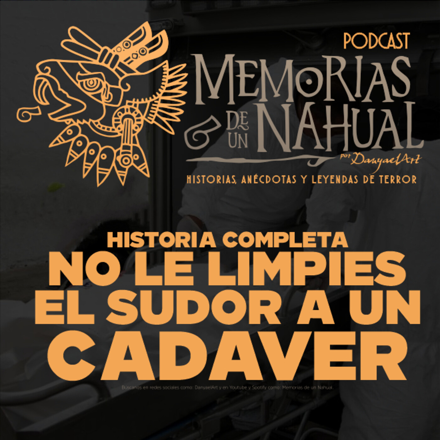 Memorias de un Nahual