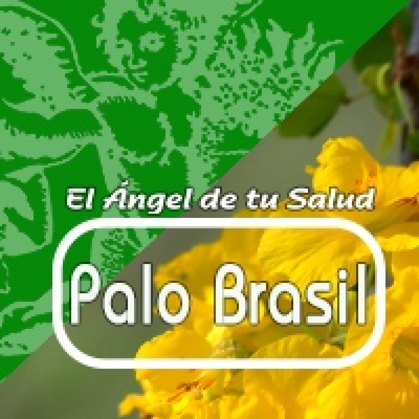 El Ángel de tu Salud -PALO BRASIL** episode artwork