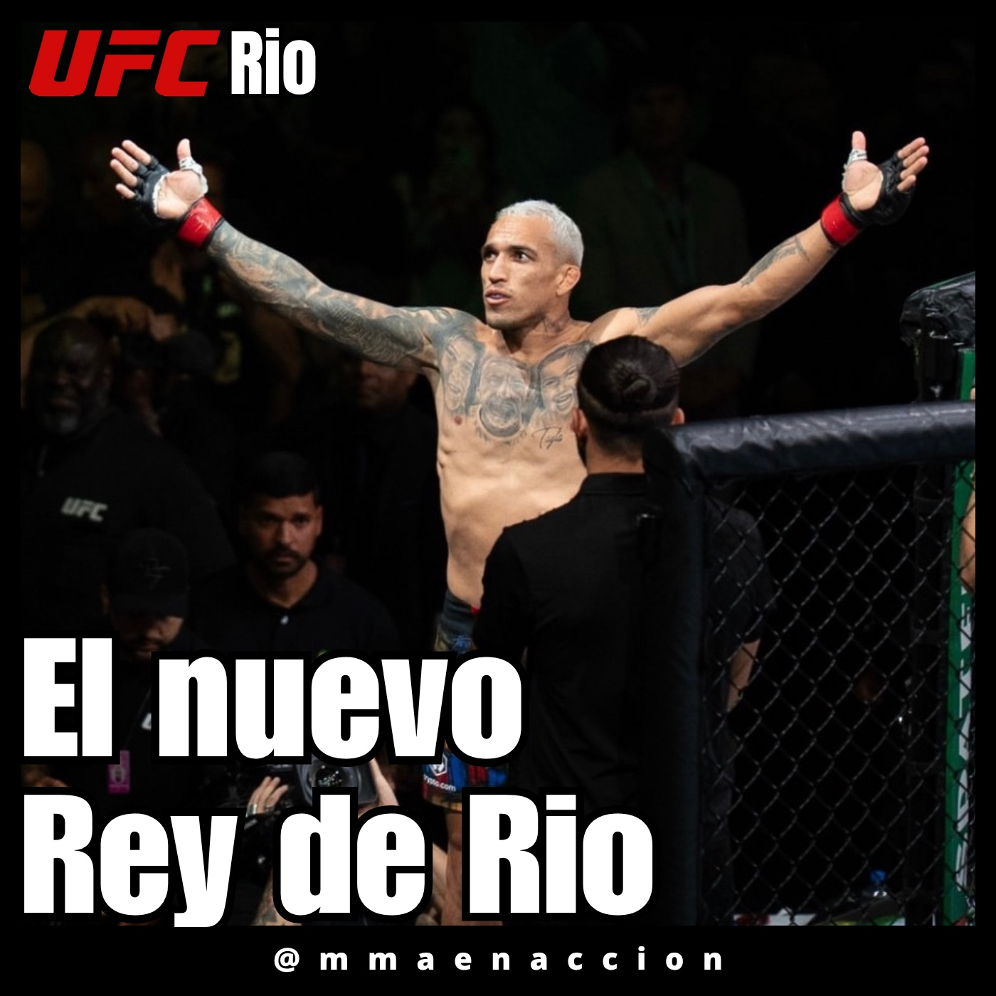 MMA en acción
