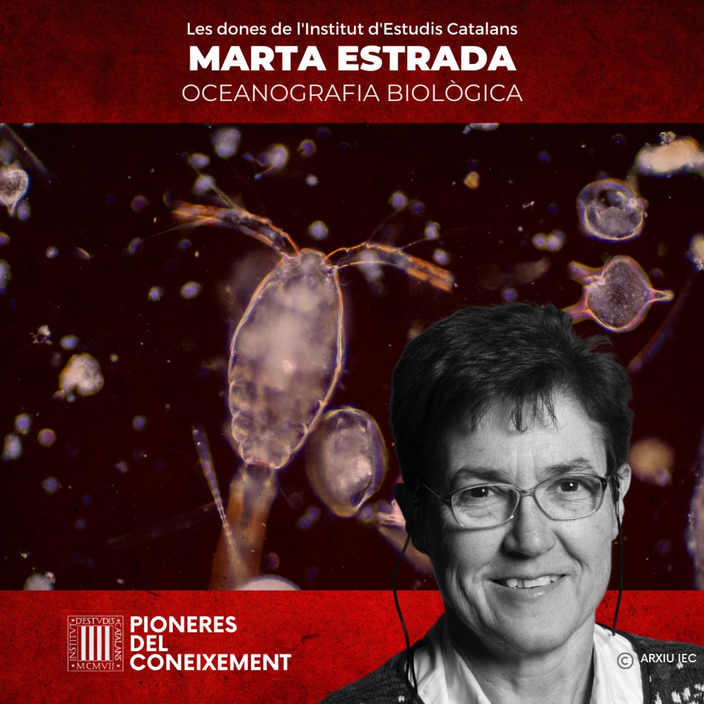 Pioneres del coneixement. Les dones de l\'IEC