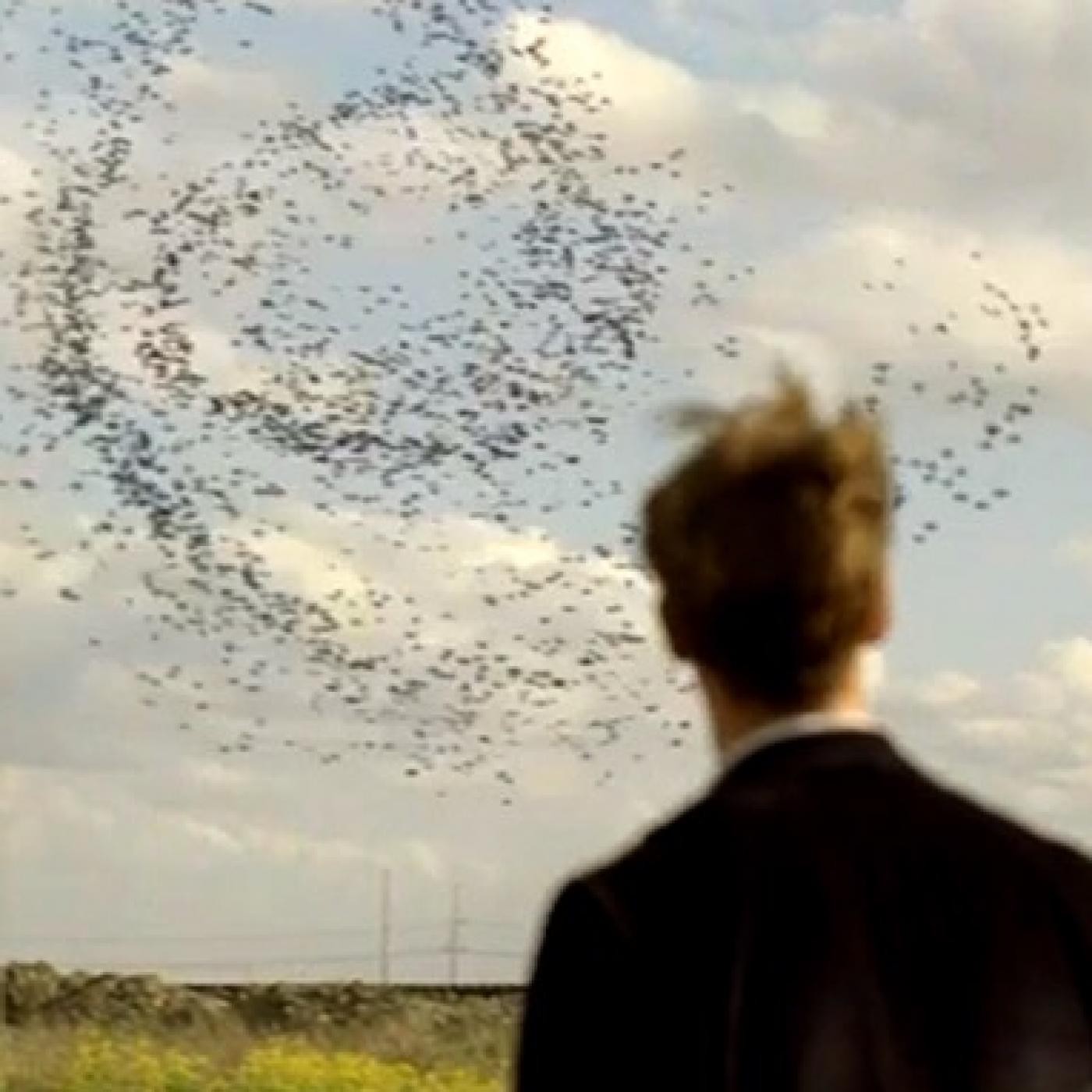 Corrientes Circulares - David Fincher