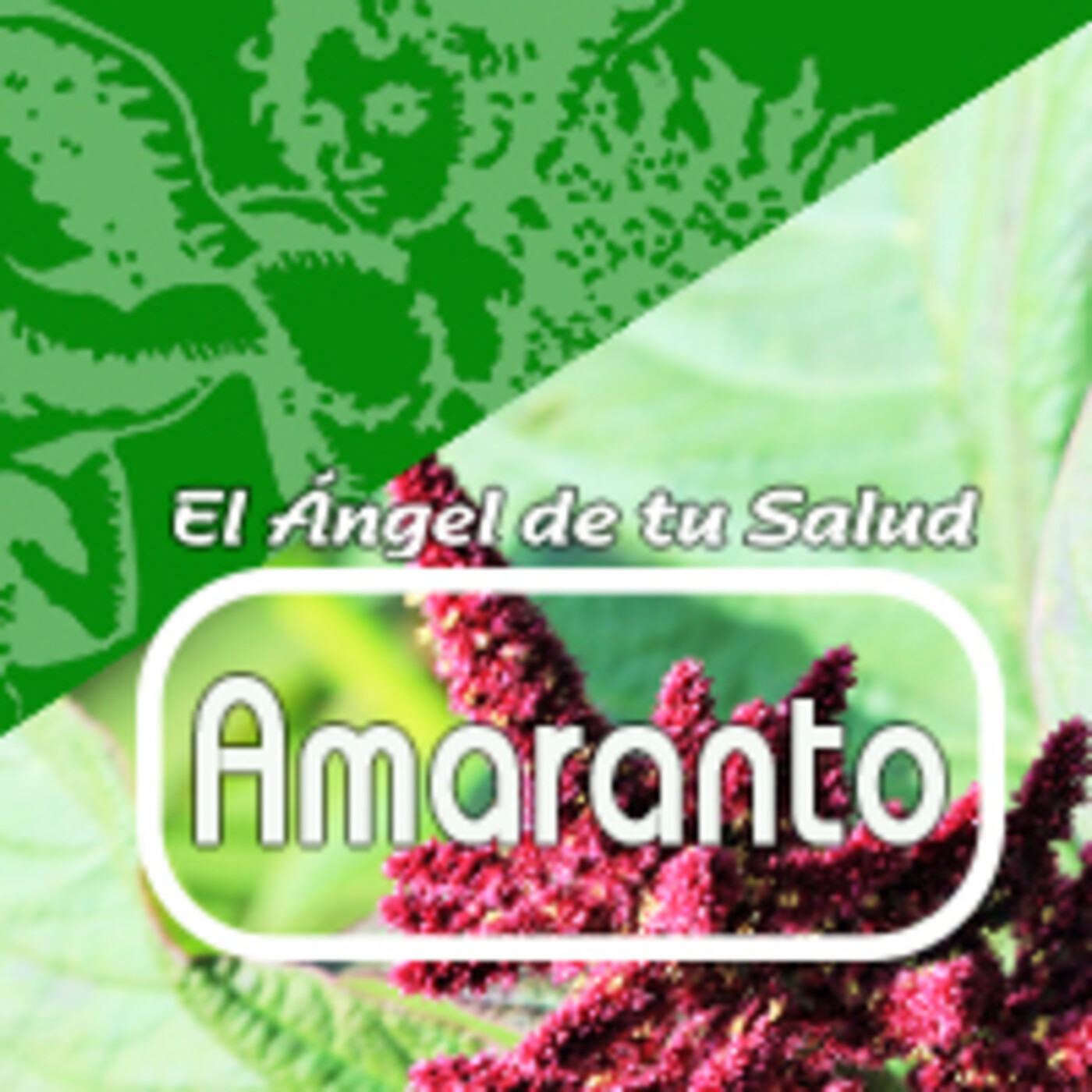 El Angel de tu Salud - AMARANTO**