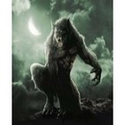 Especial Cuadernos de Bitácora: Hombres Lobo (corregido)