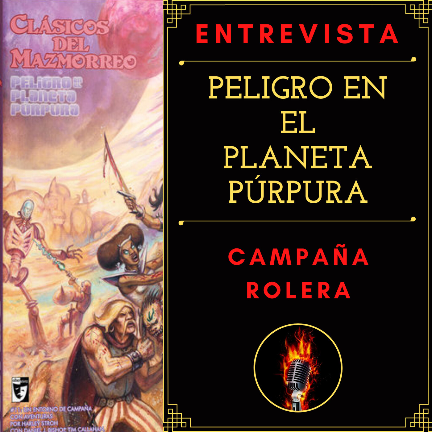 ENTREVISTAS DE ROL