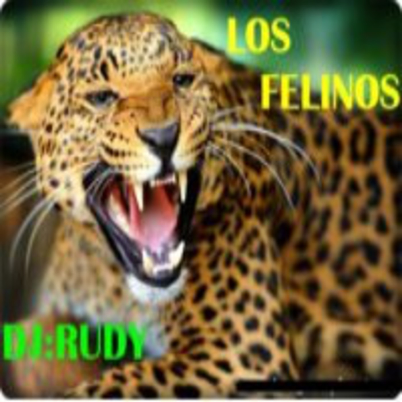 Podcast SONIDO RADIO-MEGAMIX)DjLunA