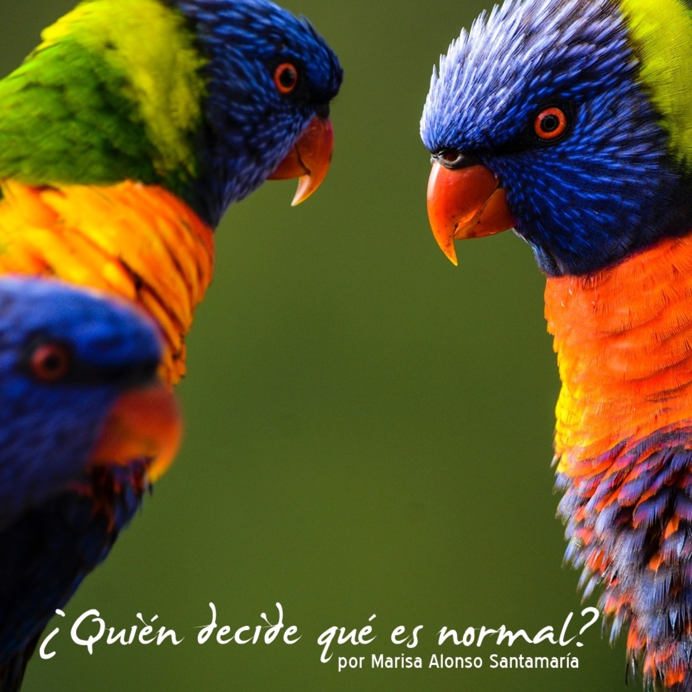Relatos, narraciones, cuentos infantiles y poemas