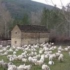 Aragón Radio visita la finca La Garcipollera