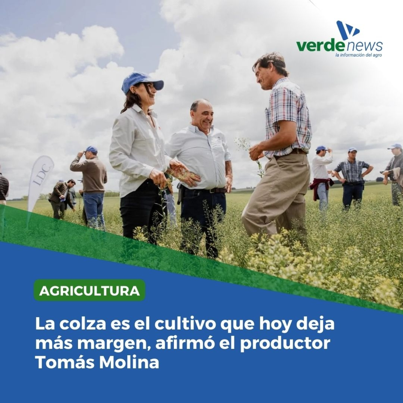 Tomás Molina - director de Agrícola TM - 15/10/24 episode artwork
