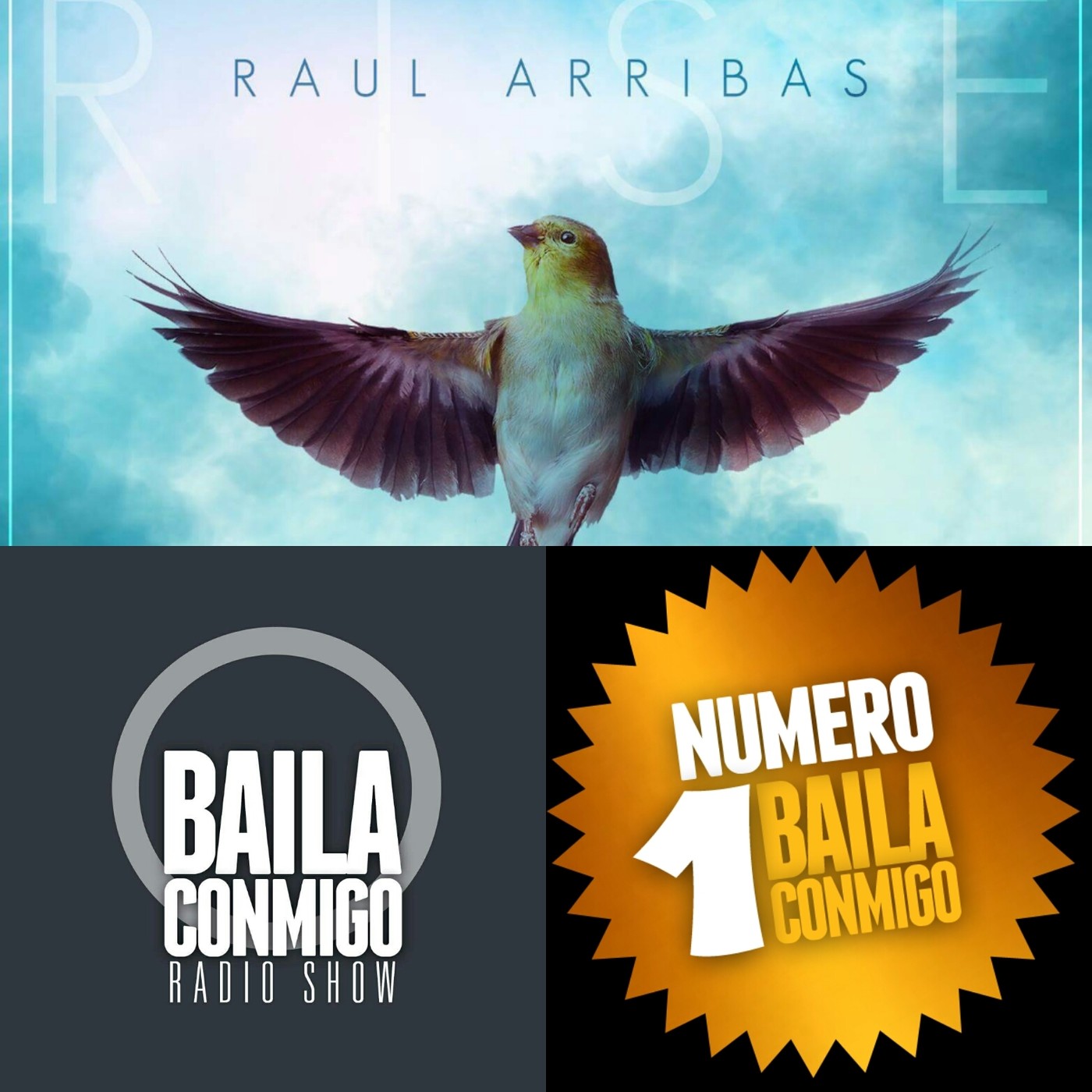 BailaConmigo RadioShow Parte 1 Episodio 163 - Episodio exclusivo para mecenas episode artwork