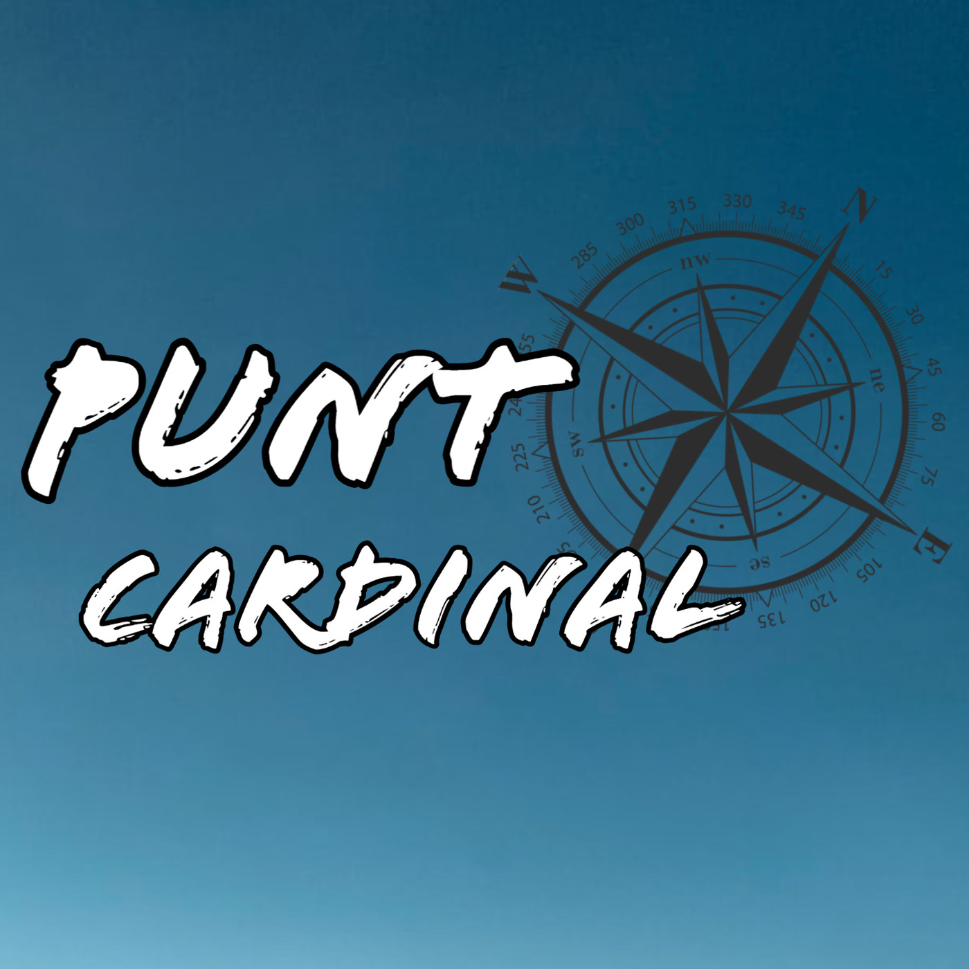 Punto Cardinal