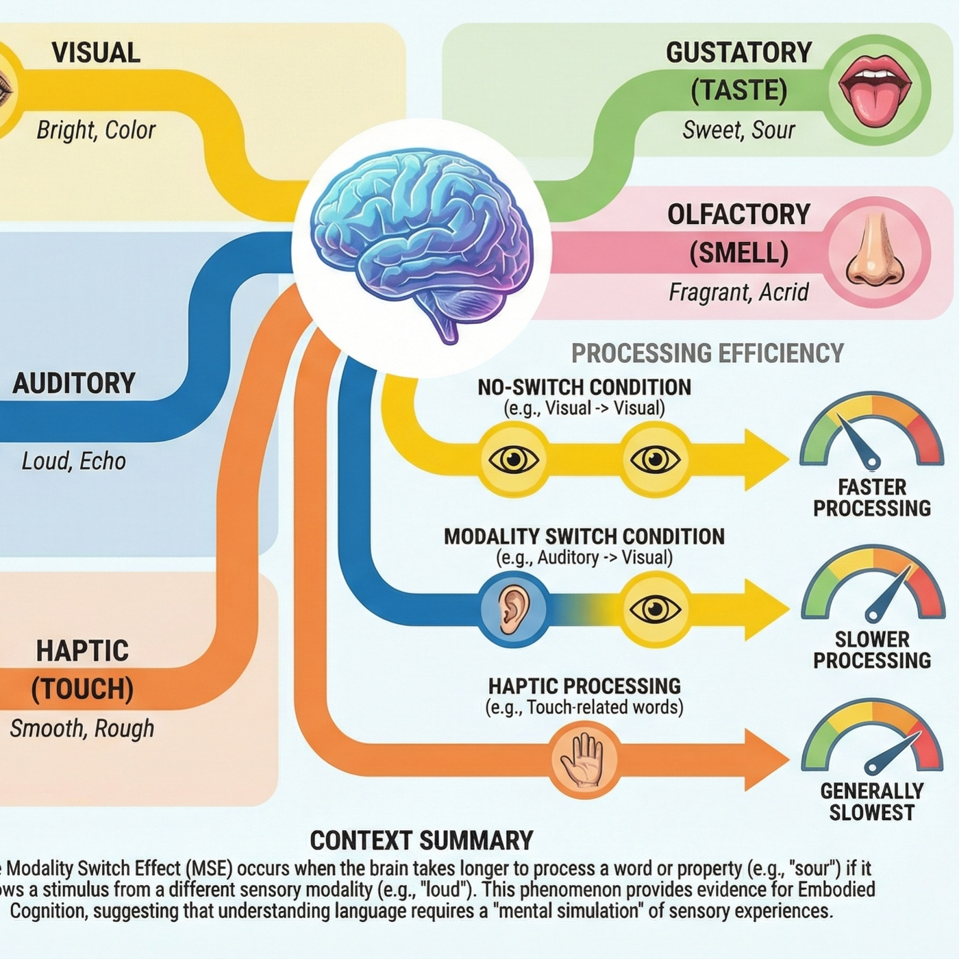 Codex Mentis: Science and tech to study cognition