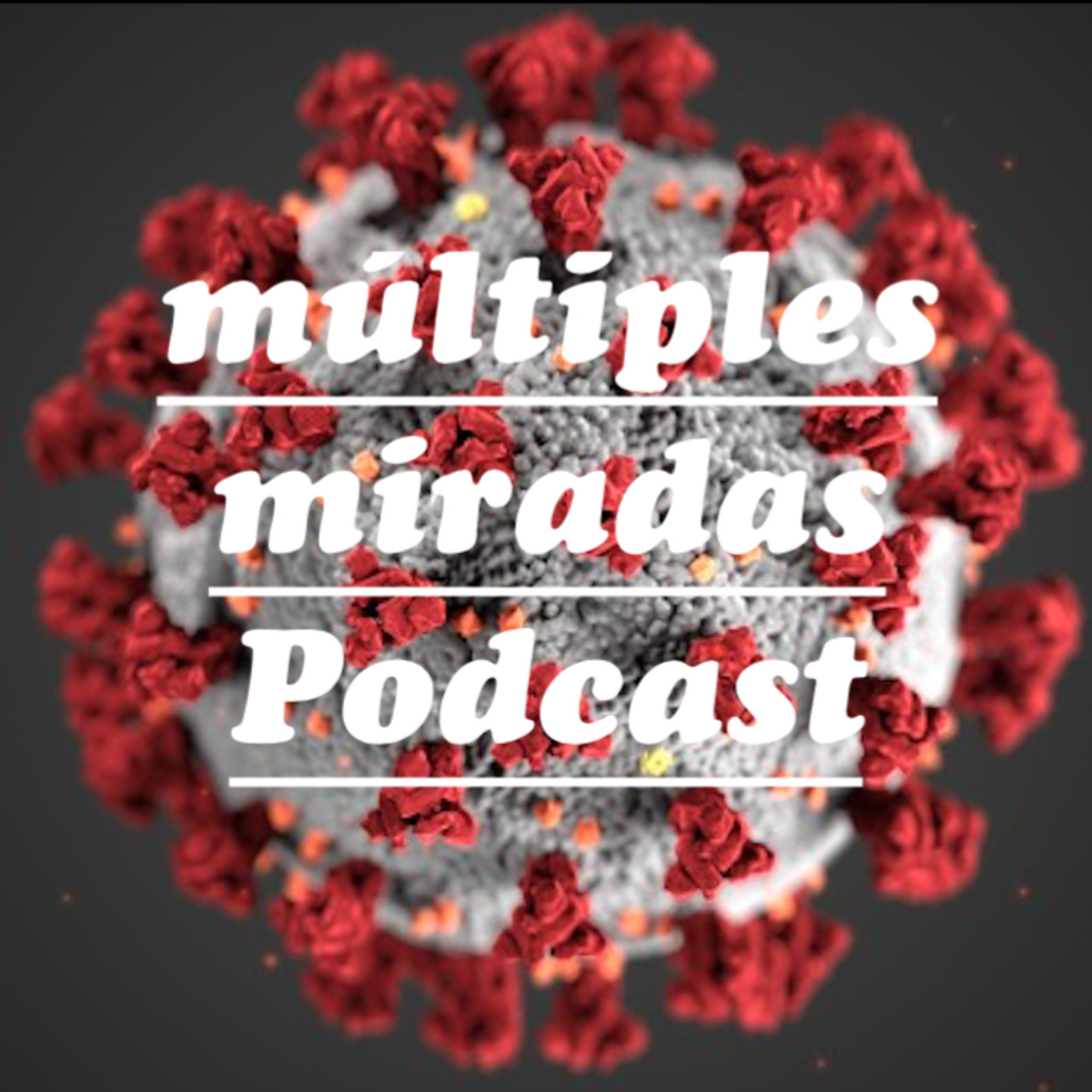 Múltiples Miradas