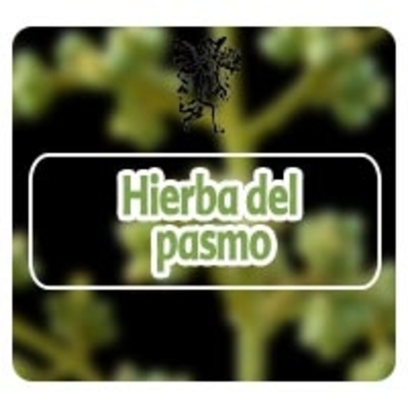 El Angel de tu Salud - HIERBA DEL PASMO* episode artwork