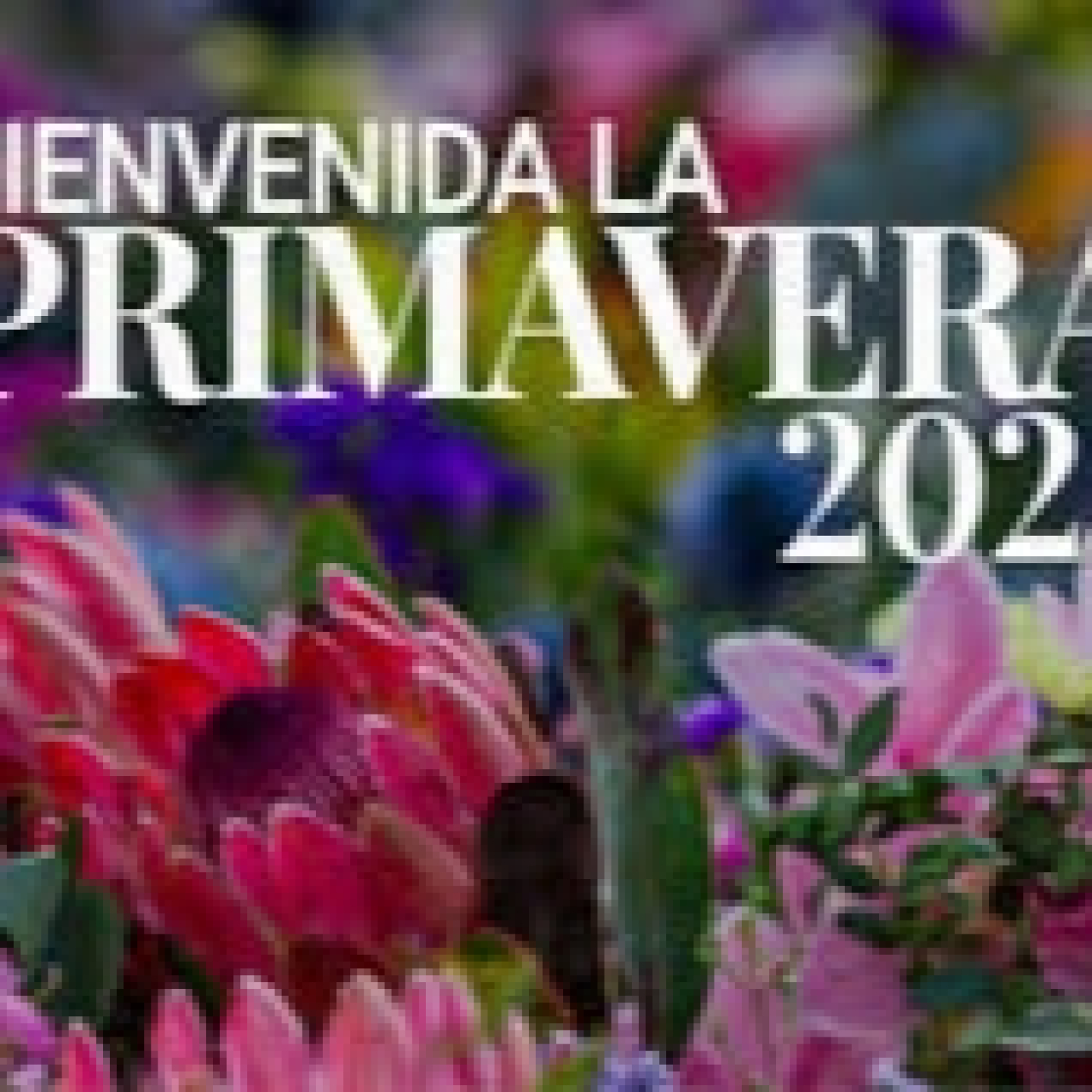 E.S.M by Dj Nau - 20 Marzo 2025 (llegó la primavera) episode artwork