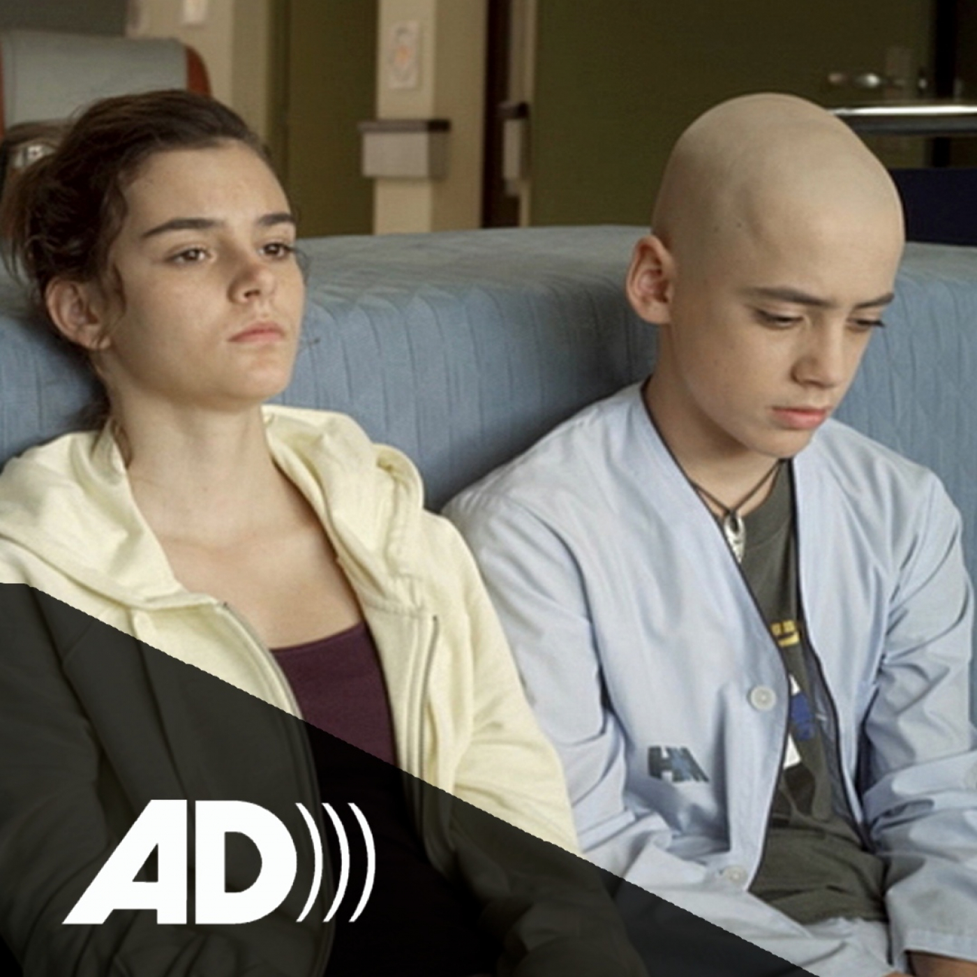 Audiodescripció en Català