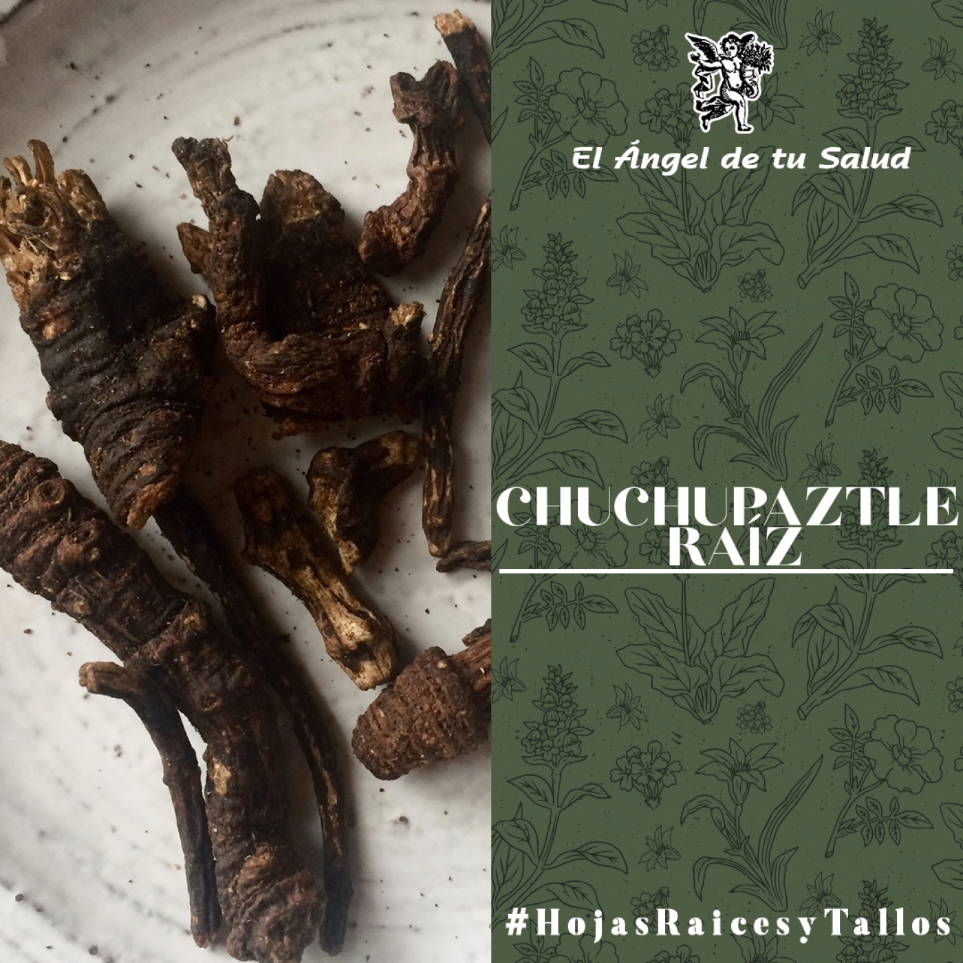 El Ángel de tu Salud - Chuchupaztle Raíz** episode artwork
