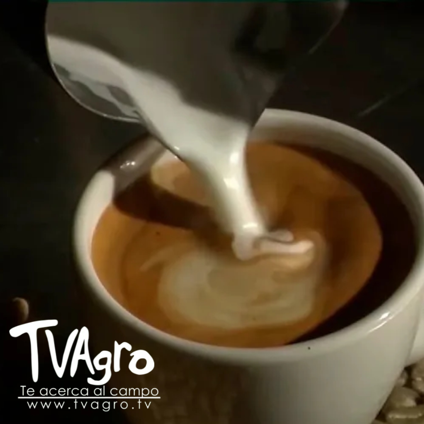 TV AGRO