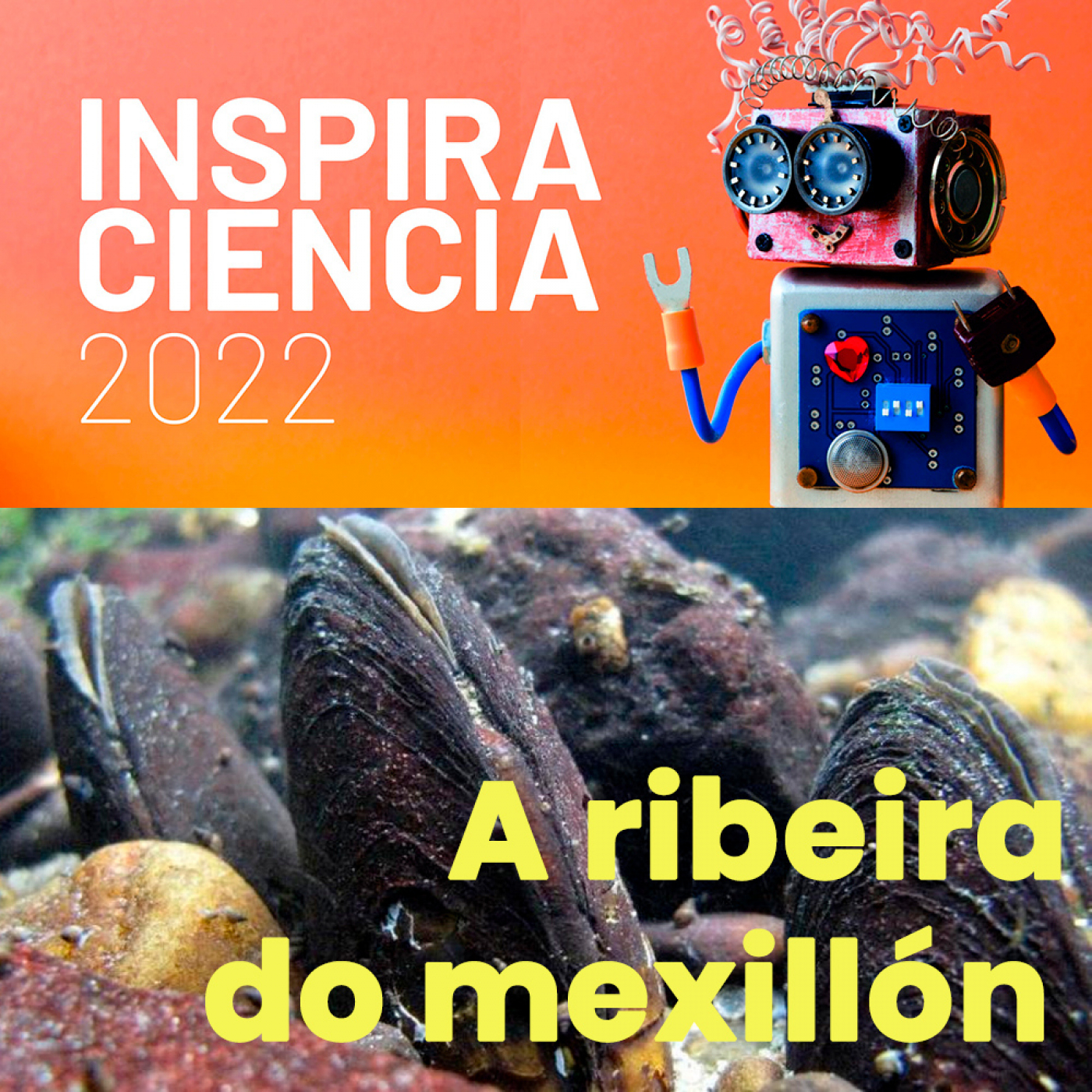 Efervesciencia
