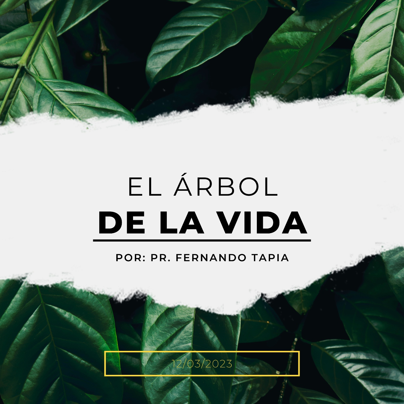 Iglesia Cristo Plenitud de Vida