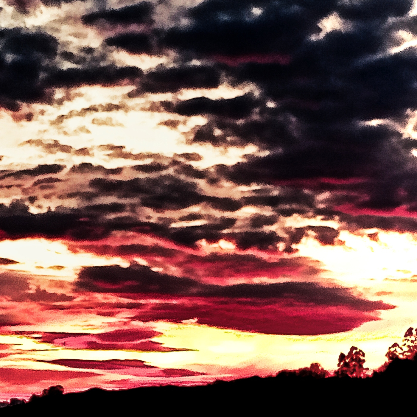Noches En la Hoguera
