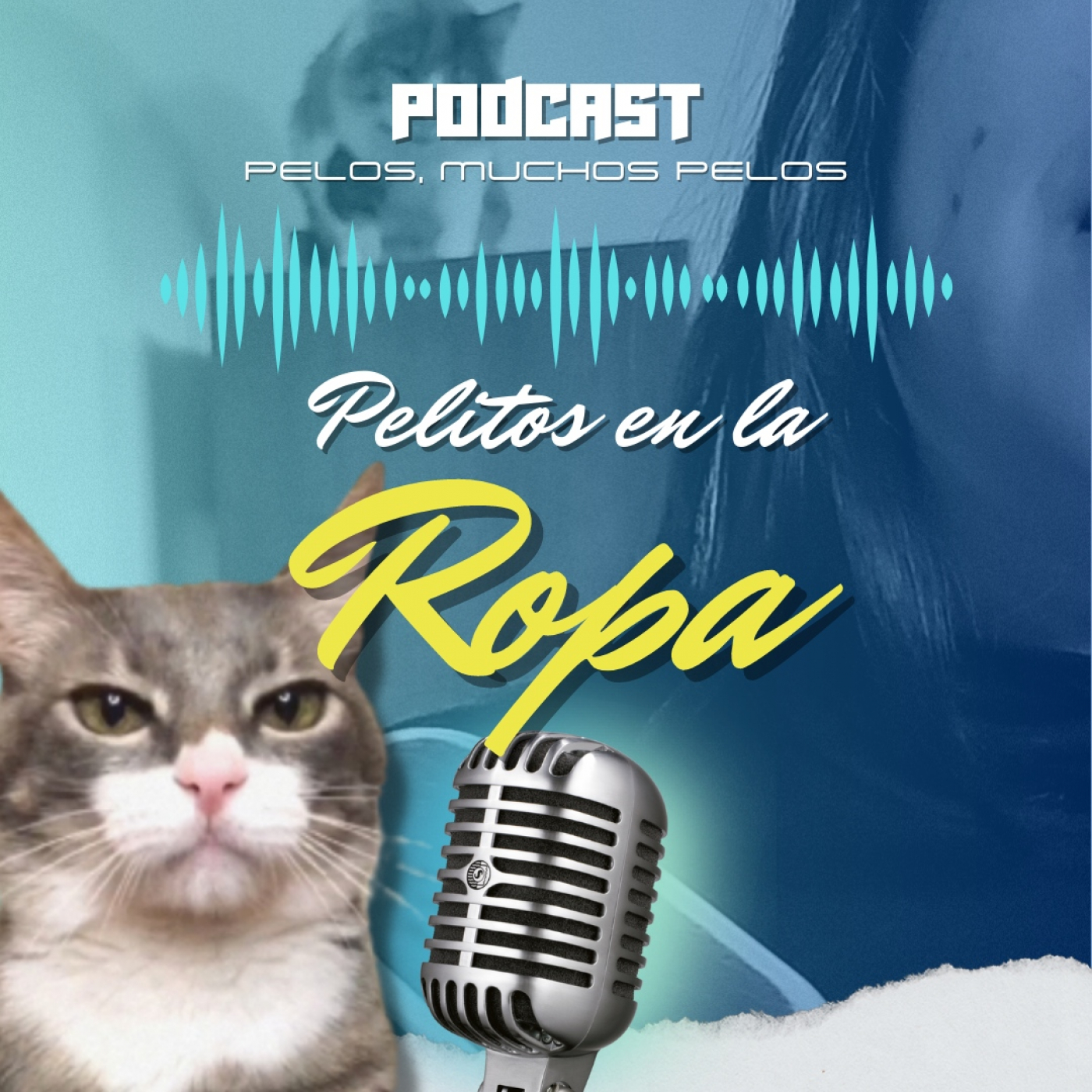 PELR: Pelitos en la Ropa
